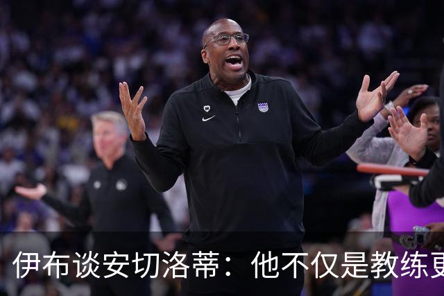 伊布谈安切洛蒂：他不仅是教练更是管理者 执教巴西对他是挑战